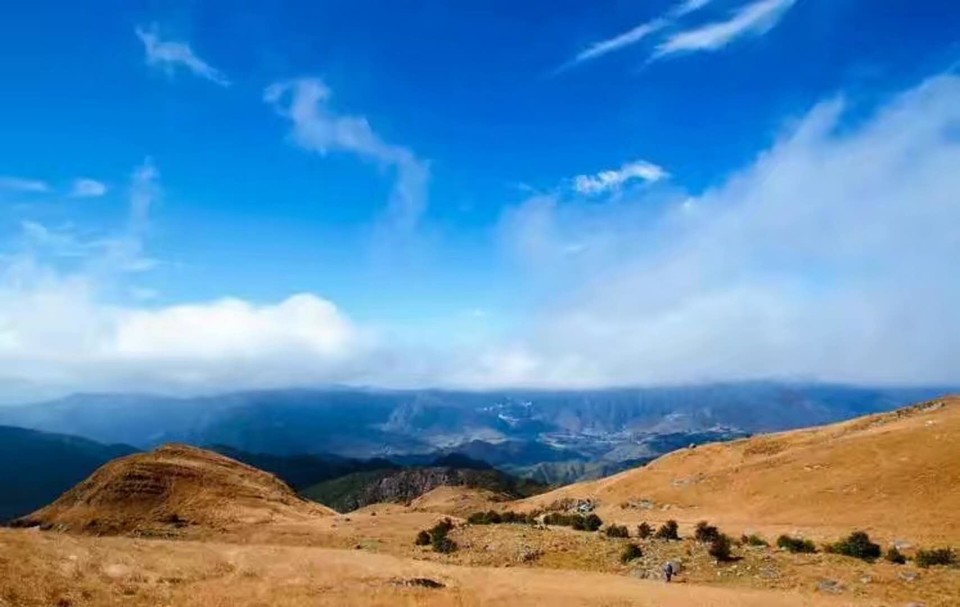 微信图片_201802041623595