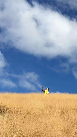 微信图片_201802041623596