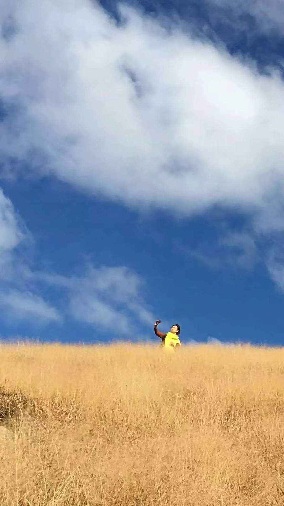 微信图片_201802041623596