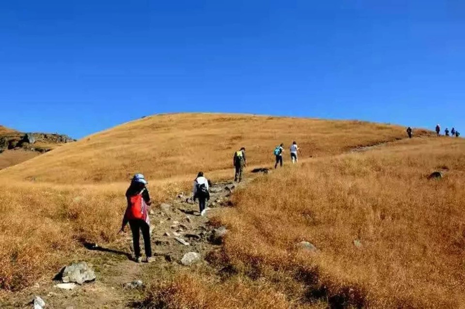 微信图片_201802041623599