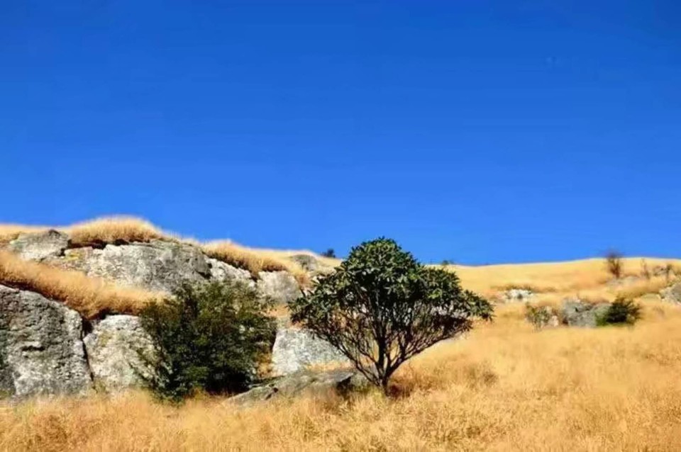 微信图片_2018020416235910