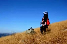 微信图片_2018020416235911