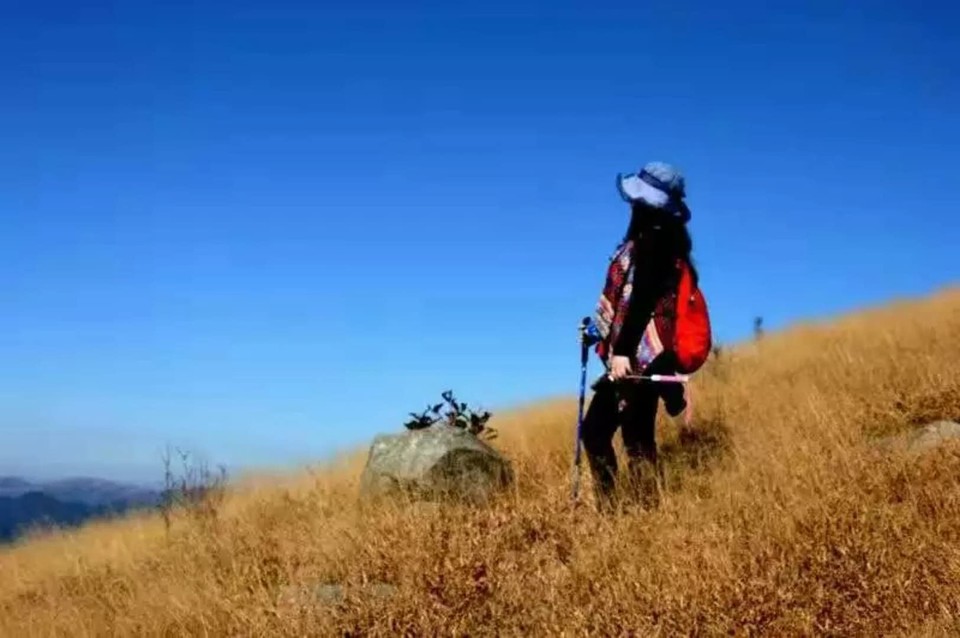 微信图片_2018020416235911