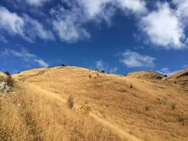 微信图片_2018020416235913