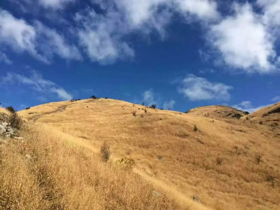 微信图片_2018020416235913