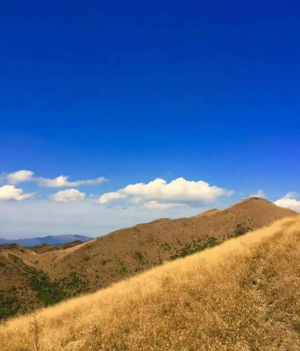 微信图片_2018020416235914