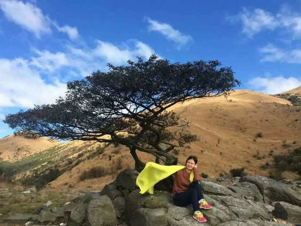 微信图片_2018020416235916