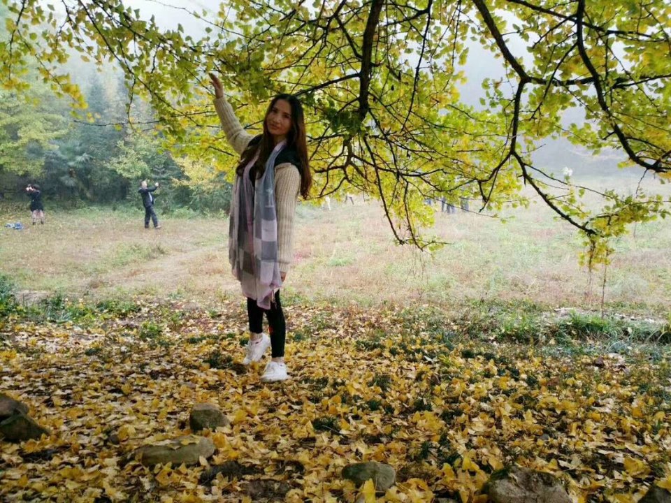 微信图片_201802041658083