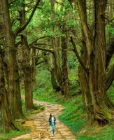 6月11-17日、7月11-17日 探寻千年人文川蜀古道，穿越中国醉美天坑7日