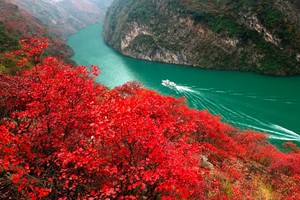 10-12月 秋韵三峡红叶环线五日游