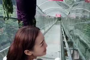 亚洲最长滑道（900米）--三联峒滑道