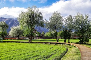 5月23-24【2天】俄色花的高原浪漫，鱼子西超美的日落雪山！——甲根坝+鱼子西