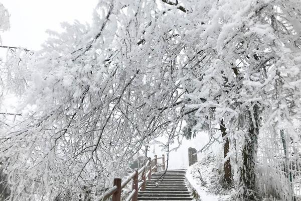 12月6【周天】小走健身，玩雪怡情，森林步道爬一半——九峰山