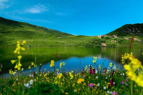 6月26-27【2日】露营花海九顶山，不羡鸳鸯不羡仙——九顶山