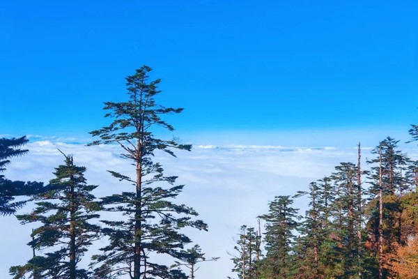 10月27【周天】免门票！绝壁栈道又开放啦！亚洲最大桌山的秋天彩林盛筵——瓦屋山