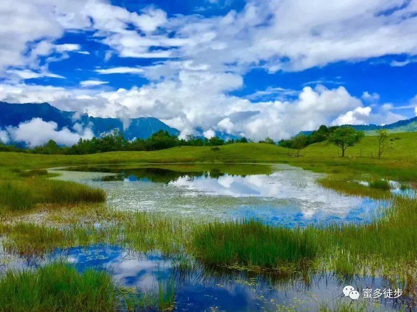 10月6【周天】高山上的"天使之泪—干海子