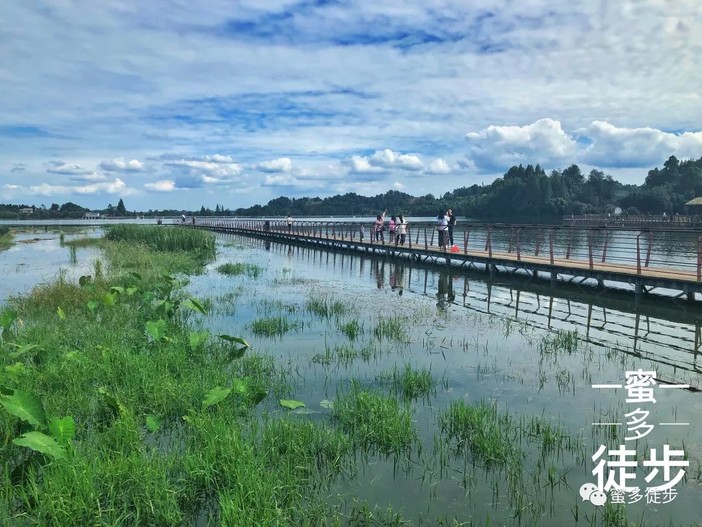 清漪湖 清漪湖位于雅安名山区,湖面55万平方米.