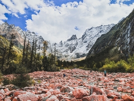 11月9【周天】雪山、草甸、红石滩的完美融合，彩色景观大道的视觉盛宴——理小路