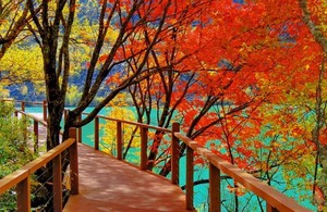 11月9【周天】没九寨远，却有九寨美！“三沟九海”的秋色绝美画卷——松坪沟