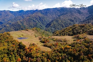 11月8【周六】石板路，成都周边最容易到的高山牧场，卧龙彩林之约！——干海子