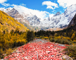11月11【周二】雪山、草甸、红石滩的完美融合，彩色景观大道的视觉盛宴——理小路