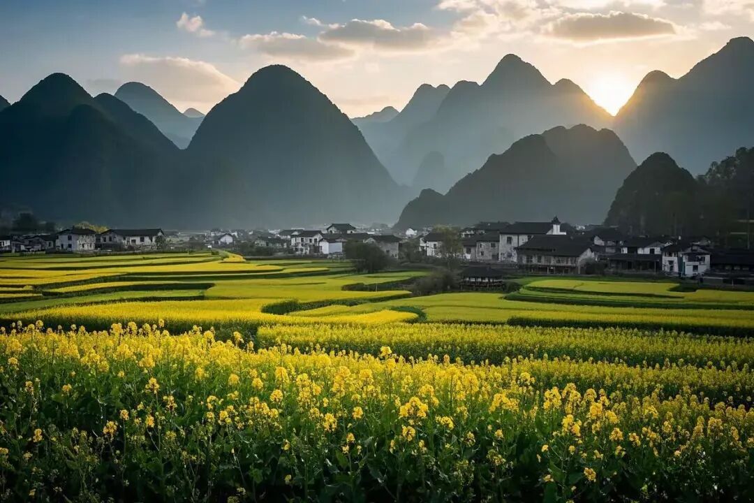 简篇-【去花开的地方,寻找春的色彩与芬芳】随风2026,3月 云南-10天大环线游