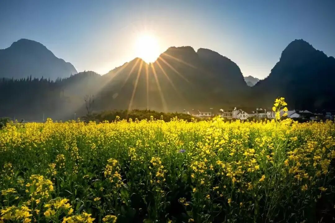 简篇-【去花开的地方,寻找春的色彩与芬芳】随风2026,3月 云南-10天大环线游