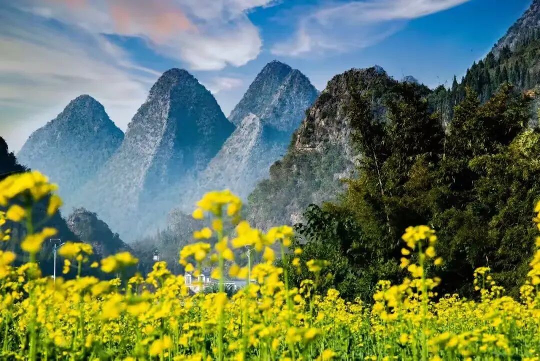 简篇-【去花开的地方,寻找春的色彩与芬芳】随风2026,3月 云南-10天大环线游