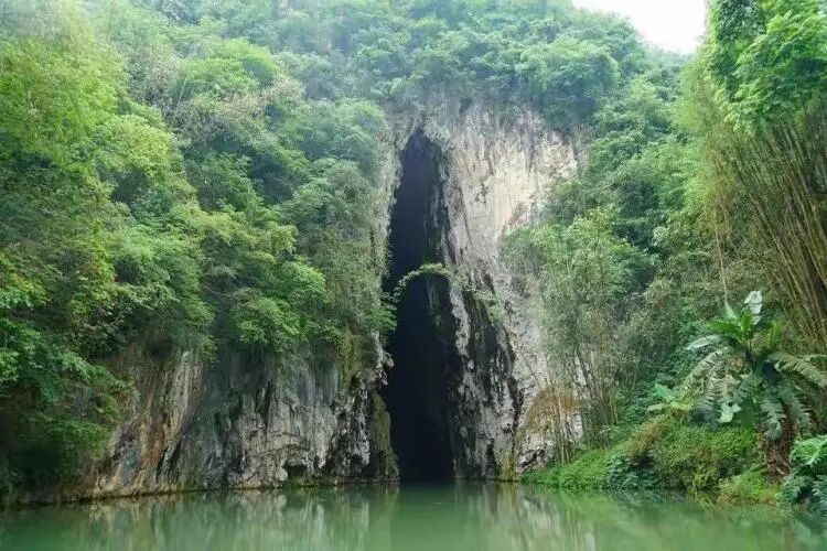 简篇-【去花开的地方,寻找春的色彩与芬芳】随风2026,3月 云南-10天大环线游