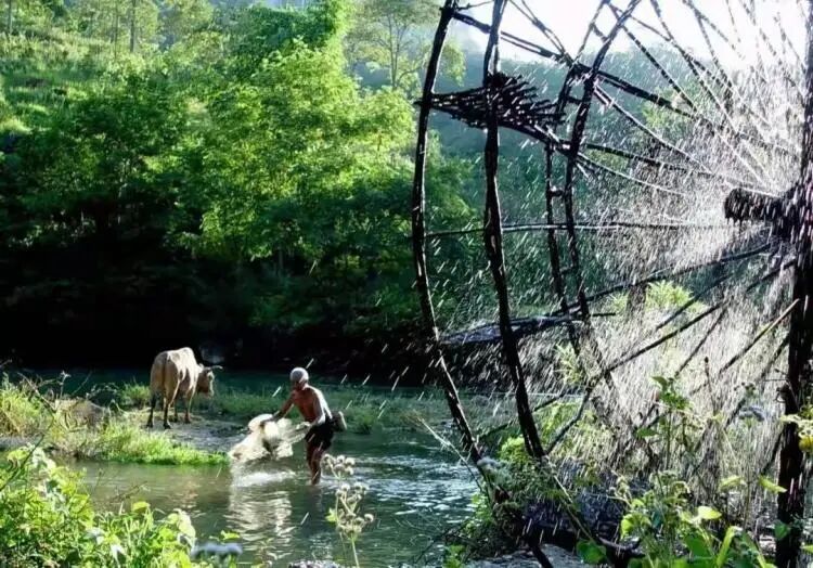 简篇-【去花开的地方,寻找春的色彩与芬芳】随风2026,3月 云南-10天大环线游