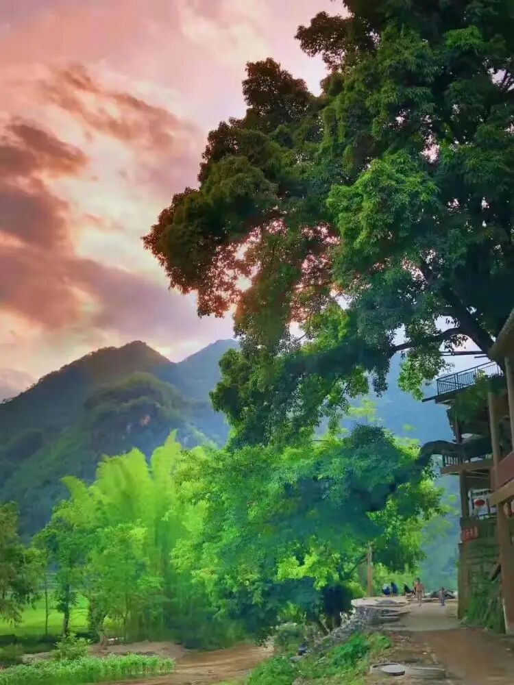 简篇-【去花开的地方,寻找春的色彩与芬芳】随风2026,3月 云南-10天大环线游