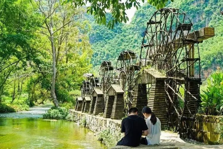 简篇-【去花开的地方,寻找春的色彩与芬芳】随风2026,3月 云南-10天大环线游