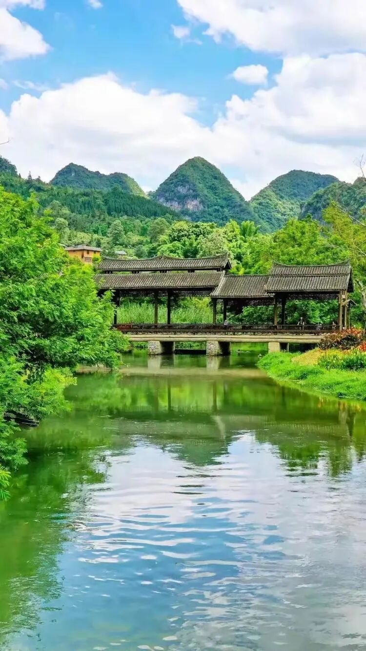 简篇-【去花开的地方,寻找春的色彩与芬芳】随风2026,3月 云南-10天大环线游