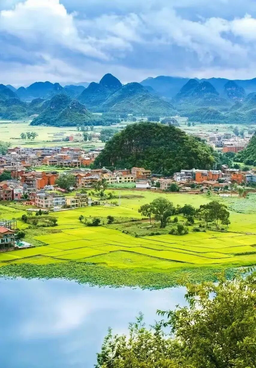 简篇-【去花开的地方,寻找春的色彩与芬芳】随风2026,3月 云南-10天大环线游