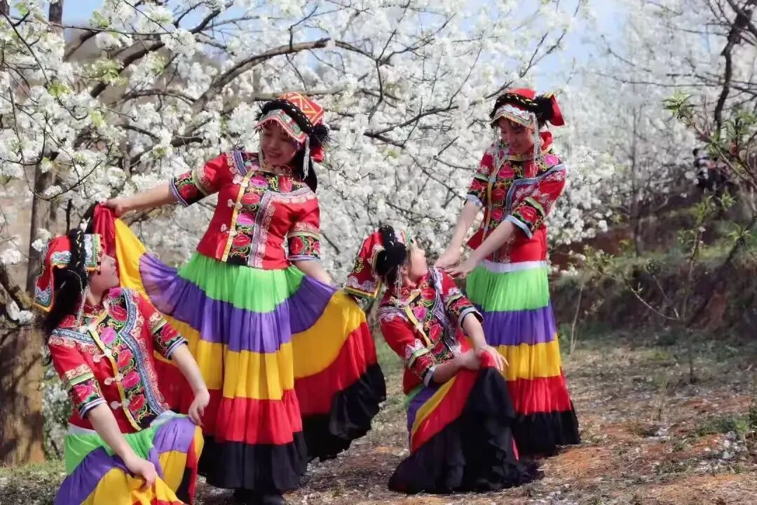 简篇-【去花开的地方,寻找春的色彩与芬芳】随风2026,3月 云南-10天大环线游