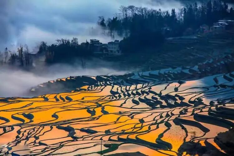 简篇-【去花开的地方,寻找春的色彩与芬芳】随风2026,3月 云南-10天大环线游