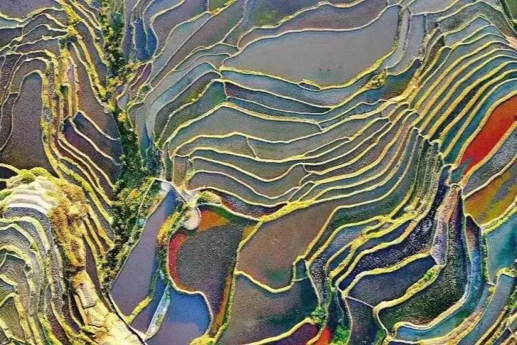 简篇-【去花开的地方,寻找春的色彩与芬芳】随风2026,3月 云南-10天大环线游