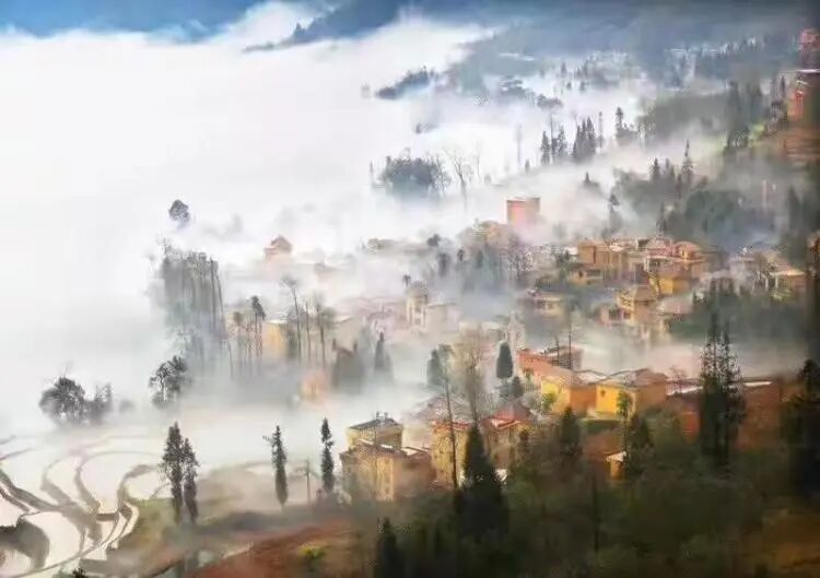 简篇-【去花开的地方,寻找春的色彩与芬芳】随风2026,3月 云南-10天大环线游