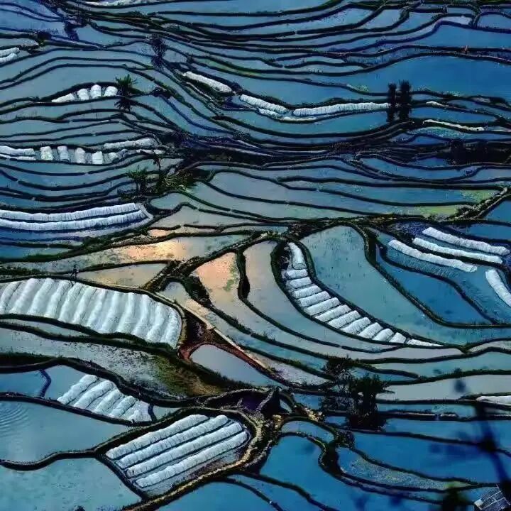 简篇-【去花开的地方,寻找春的色彩与芬芳】随风2026,3月 云南-10天大环线游