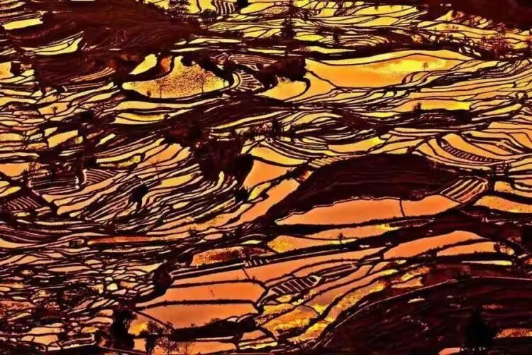 简篇-【去花开的地方,寻找春的色彩与芬芳】随风2026,3月 云南-10天大环线游