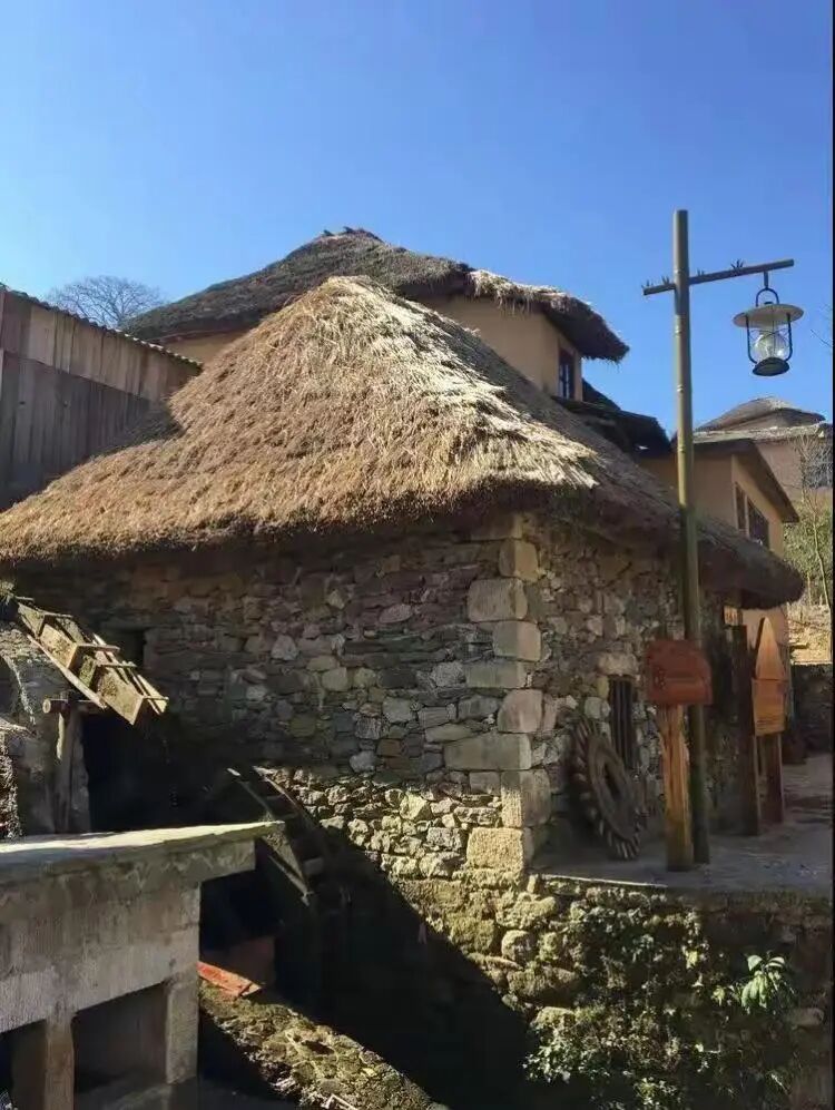 简篇-【去花开的地方,寻找春的色彩与芬芳】随风2026,3月 云南-10天大环线游