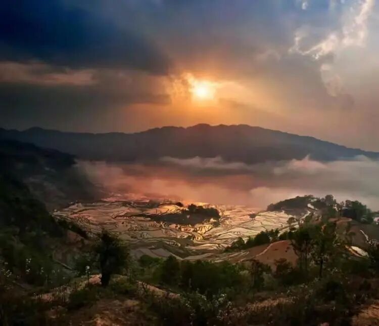 简篇-【去花开的地方,寻找春的色彩与芬芳】随风2026,3月 云南-10天大环线游