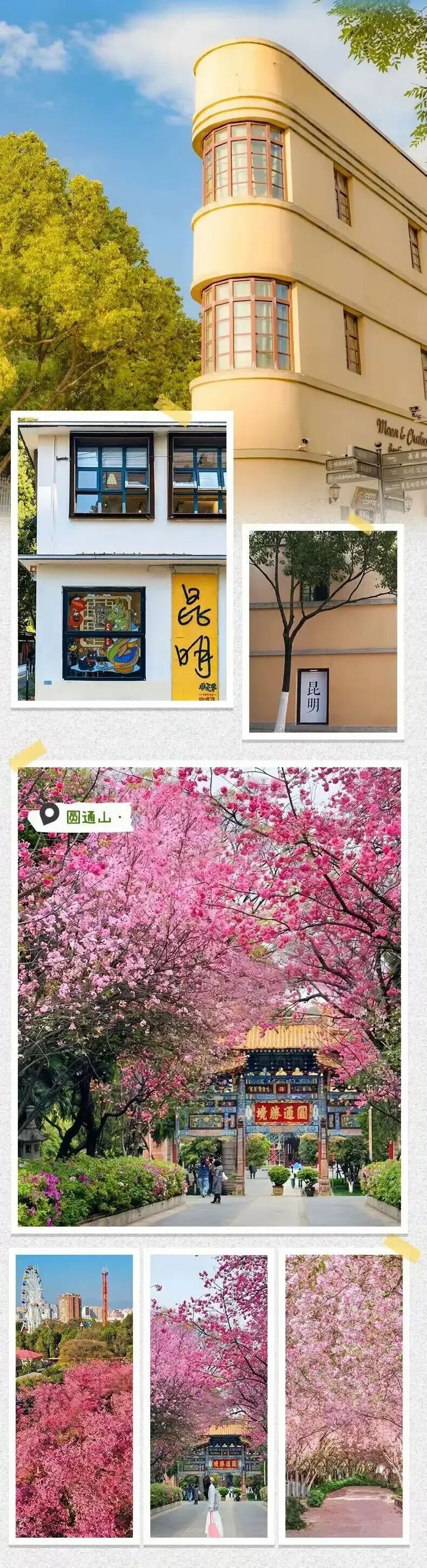 简篇-【去花开的地方,寻找春的色彩与芬芳】随风2026,3月 云南-10天大环线游