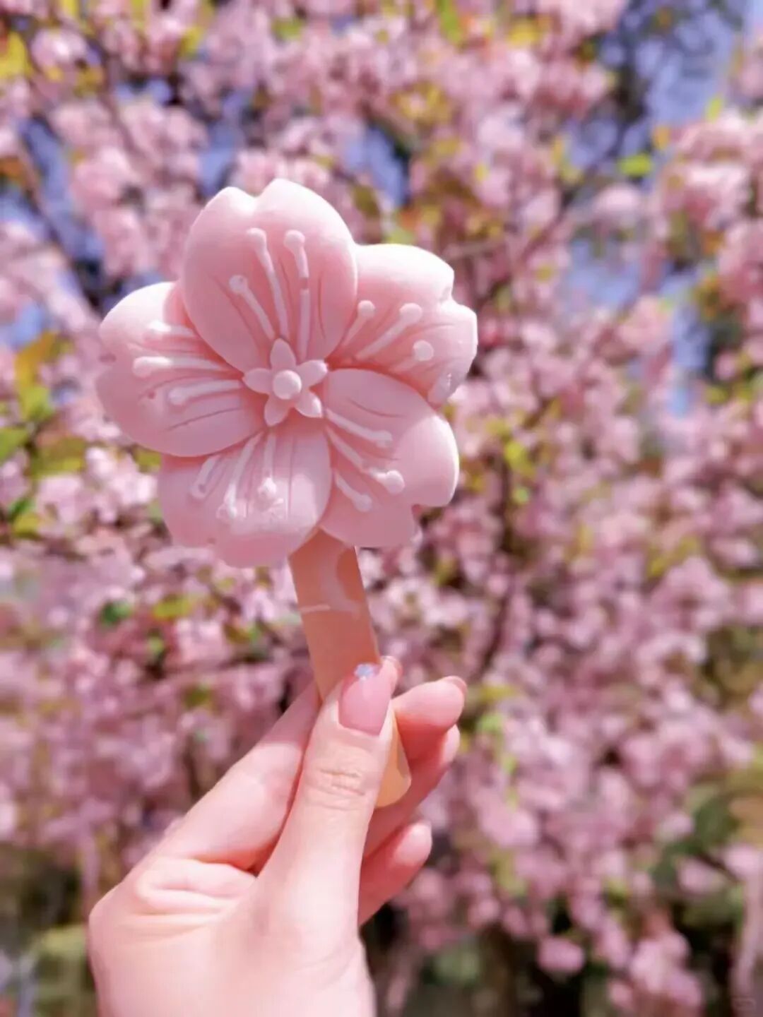 简篇-【去花开的地方,寻找春的色彩与芬芳】随风2026,3月 云南-10天大环线游