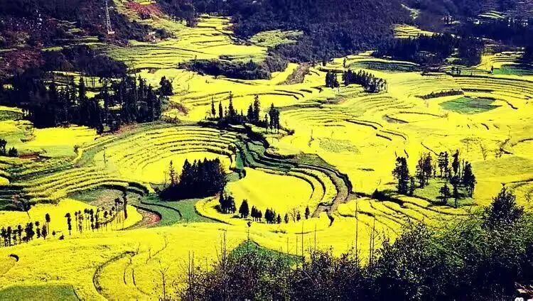 简篇-【去花开的地方,寻找春的色彩与芬芳】随风2026,3月 云南-10天大环线游