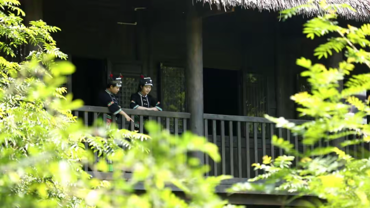 简篇-【去花开的地方,寻找春的色彩与芬芳】随风2026,3月 云南-10天大环线游