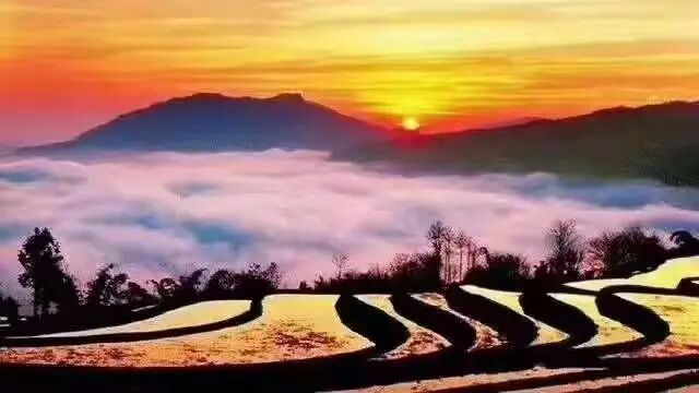 简篇-【去花开的地方,寻找春的色彩与芬芳】随风2026,3月 云南-10天大环线游