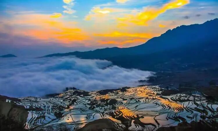 简篇-【去花开的地方,寻找春的色彩与芬芳】随风2026,3月 云南-10天大环线游