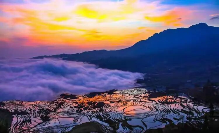 简篇-【去花开的地方,寻找春的色彩与芬芳】随风2026,3月 云南-10天大环线游