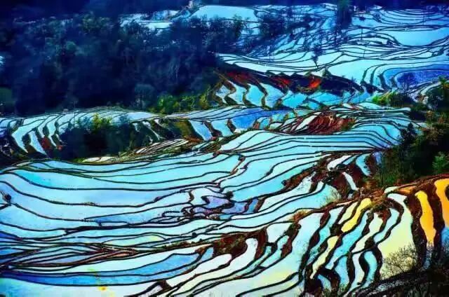 简篇-【去花开的地方,寻找春的色彩与芬芳】随风2026,3月 云南-10天大环线游